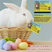 KCGYNP Rabbits ID Card Passport Interest Easter Gift Clearance,Festival Blessing Card,for Easter Celebrations and Gift-Giving